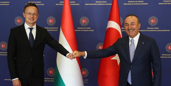 Meeting of Foreign Minister Mevlüt Çavuşoğlu with Foreign Minister Peter Szijjarto of Hungary, 30 June 2020