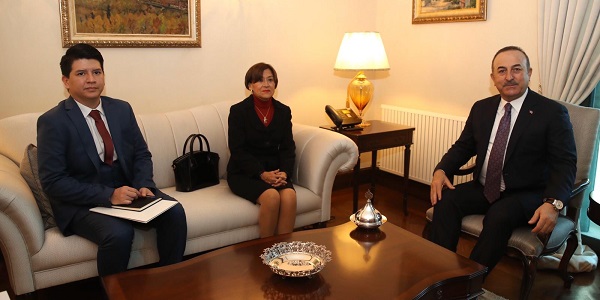 Meetings of Foreign Minister Mevlüt Çavuşoğlu with Ambassadors of Ecuador, Colombia, Kosovo and Estonia, 15 January 2020