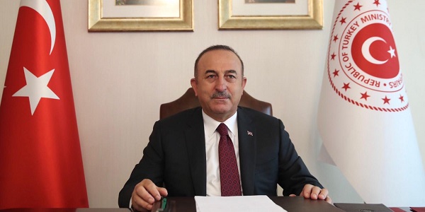Participation of Foreign Minister Mevlüt Çavuşoğlu in the 130th Meeting of the Committee of Ministers of the Council of Europe held via videoconference, 4 November 2020