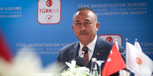 Participation of Foreign Minister Mevlüt Çavuşoğlu in the Meeting of the Turkish Accreditation Agency Advisory Board, 24 December 2020