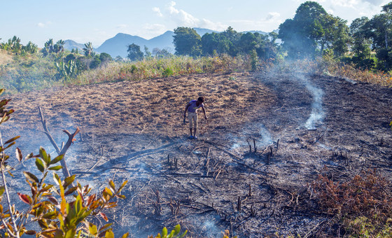 In Madagascar, many farmers continue to burn their fields in order to prepare for the next harvest. 