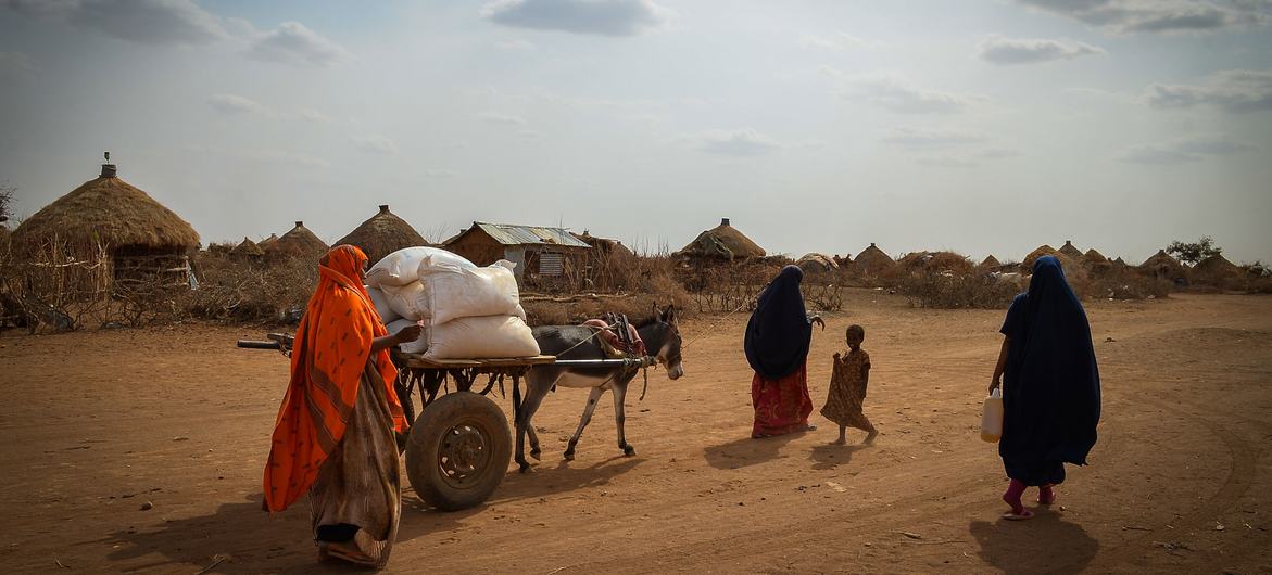 The UN is providing $20 million in CERF to mitigate the loss of livelihoods and declines in food consumption after erratic rainfall in parts of Ethiopia depleted water supplies. 