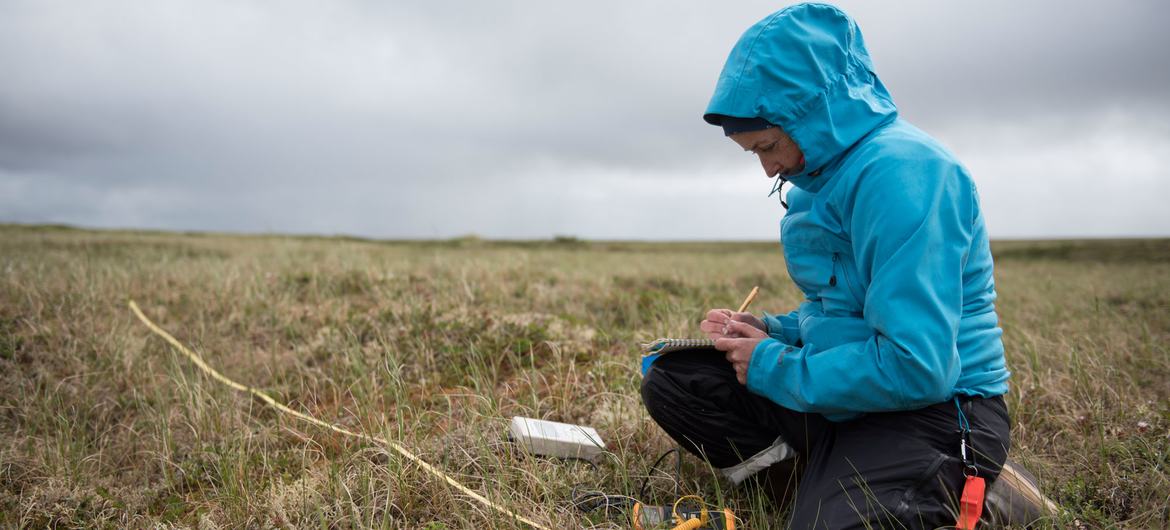 Dr. Susan Natali, scientist at the Woodwell Climate Research Centre, studies permafrost in the Yukon-Kuskokwim Delta region of Alaska.