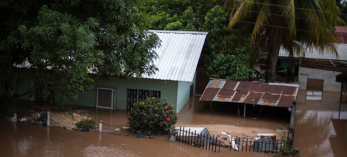In the La Democracia neighborhood of the municipality of San Manuel in the department of Cortés, the floods caused by the flooding of the river Ulúa river due to Eta and Iota storms has left the entire neighborhood under water.