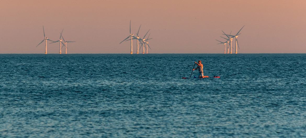 An off-shore wind farm.