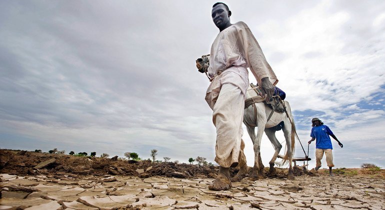 Extreme weather like widespread drought is causing economic losses amongst farmers across the world.