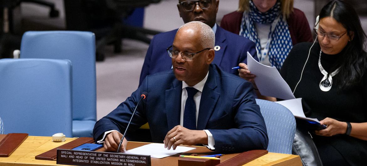 El-Ghassim Wane, Special Representative of the Secretary-General and Head of the UN Multidimensional Integrated Stabilization Mission in Mali (MINUSMA), briefs the Security Council meeting on the situation in Mali.