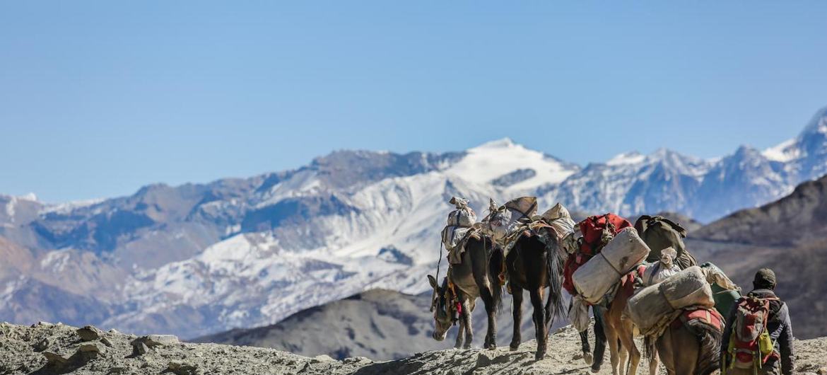 Mountain communities in the Hindu Kush Himalaya region, including the municipality of Mustang in Nepal above, are already feeling the effects of biodiversity loss, increased glacial melting, to less predictable water availability, as climate change hits..