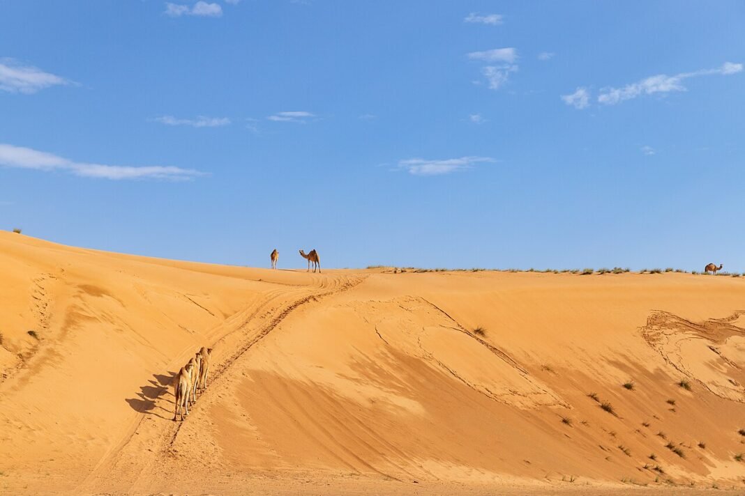 Oman Climbs to Top of Quality of Life Rankings – A Strategic Signal Oman Climbs to Top of Quality of Life Rankings – A Strategic Signal