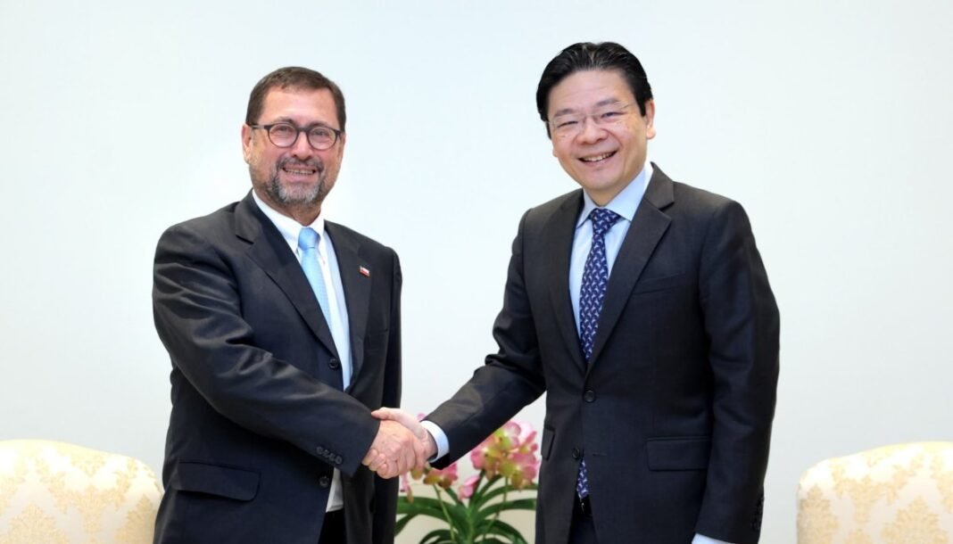 Chilean Minister Torres Meets with UK Envoy on Human Rights Action Plan