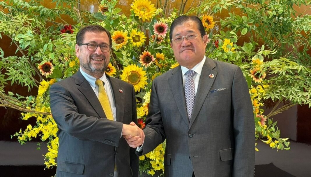 Chile Seeks Japanese Investment Amid Rebuilding Push Chile Seeks Japanese Investment Amid Rebuilding Push