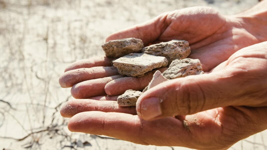 Mongolia Hosts COP17: France Prioritizes Soil Carbon – A Critical Test for Global Commitments Mongolia Hosts COP17: France Prioritizes Soil Carbon – A Critical Test for Global Commitments