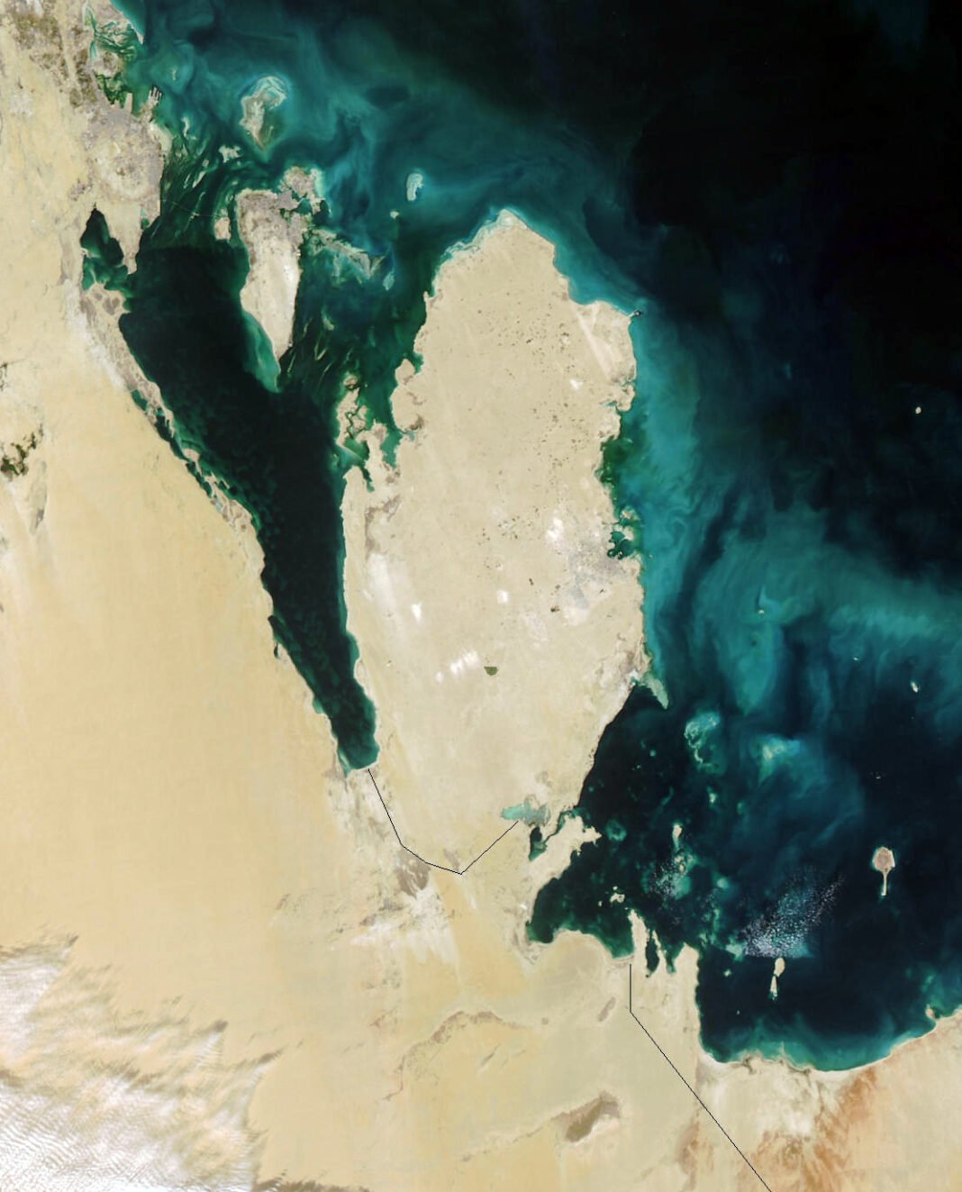 Qatar and Seven Nations Express Concern Over Gaza Humanitarian Suffering Qatar and Seven Nations Express Concern Over Gaza Humanitarian Suffering