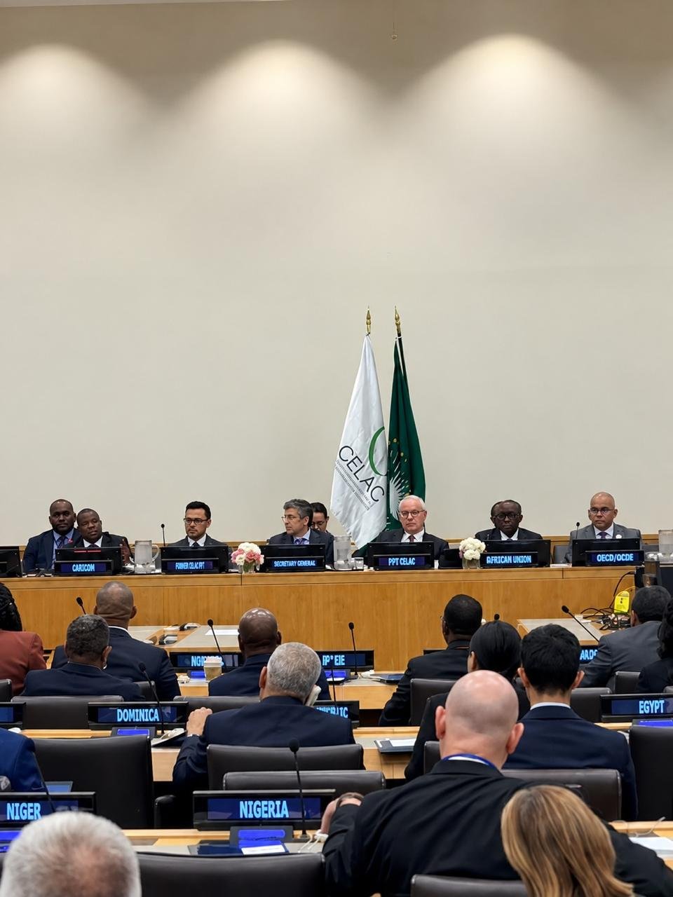 Colombia Backs CELAC-African and CELAC-India Route Colombia Backs CELAC-African and CELAC-India Route